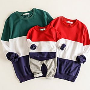 Family Look Sweatshirt Color Block Daily White Long Sleeve Active Matching Outfits Lightinthebox