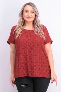 Womens Plus Size Short Sleeve Lace Top  Brown