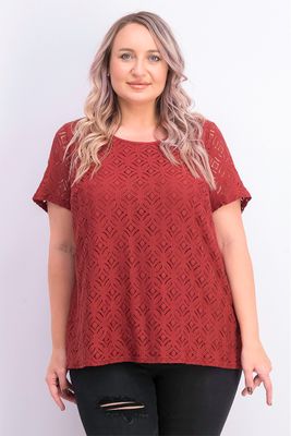 Womens Plus Size Short Sleeve Lace Top  Brown