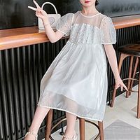 Kids Little Girls' Dress Solid Colored A Line Dress Holiday Vacation White Midi Short Sleeve Princess Beautiful Dresses Spring Summer Regular Fit 3-12 Years miniinthebox - thumbnail