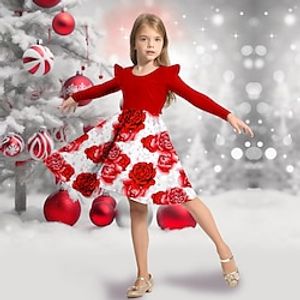 Christmas Girls' 3D Floral Ruffle Dress Long Sleeve 3D Print Fall Winter Sports  Outdoor Daily Holiday Cute Casual Beautiful Kids 3-12 Years Casual Dress A Line Dress Above Knee Polyester Regular Fit Lightinthebox