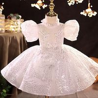 Kids Little Girls' Dress Solid Colored A Line Dress Party Christening dress Sequins Ruched Mesh Pink Knee-length Short Sleeve Princess Cute Dresses Spring Summer Regular Fit 3-10 Years Lightinthebox - thumbnail