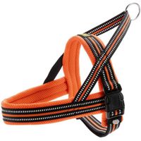 Hunter Dog Meldal Dog Harness