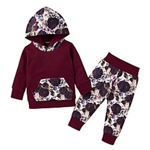 2 Pieces Baby Girls' Fashion Casual / Daily Floral Print Long Sleeve Regular Hoodie  Pants Clothing Set Wine miniinthebox