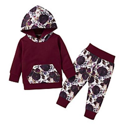 2 Pieces Baby Girls' Fashion Casual / Daily Floral Print Long Sleeve Regular Hoodie  Pants Clothing Set Wine miniinthebox