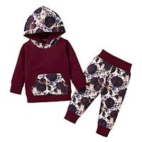 2 Pieces Baby Girls' Fashion Casual / Daily Floral Print Long Sleeve Regular Hoodie  Pants Clothing Set Wine miniinthebox - thumbnail