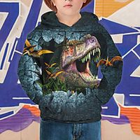 Kids Boys' Hoodie Long Sleeve Dinosaur Navy Blue Children Tops Fall Active Regular Fit 4-12 Years Lightinthebox - thumbnail