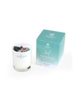 Prickly Pear Jade Crystal Heal Candle