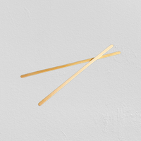 Hotpack | 19 Cm Disposable Wooden Coffee Stirrer | 10000 Pieces