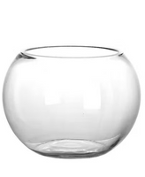 Camry Glass Fish Bowl Clear