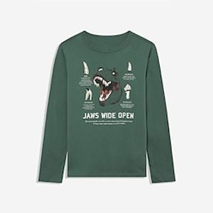 Kids Boys Sweatshirt Long Sleeve 3D Print Sequin Dinosaur Animal Green Children Tops Fall Winter Active Fashion Daily Daily Outdoor Regular Fit 3-12 Years Lightinthebox