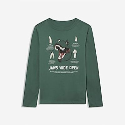 Kids Boys Sweatshirt Long Sleeve 3D Print Sequin Dinosaur Animal Green Children Tops Fall Winter Active Fashion Daily Daily Outdoor Regular Fit 3-12 Years Lightinthebox