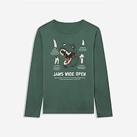 Kids Boys Sweatshirt Long Sleeve 3D Print Sequin Dinosaur Animal Green Children Tops Fall Winter Active Fashion Daily Daily Outdoor Regular Fit 3-12 Years Lightinthebox - thumbnail