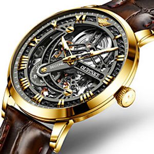 men skeleton watches brown leather black dial mechanical automatic watch swiss brand classic dress watch for male expensive luxury wrist watch Lightinthebox