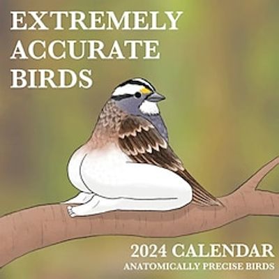 Extremely Accurate Bird Calendar 2024, 2024 Bird Calendar Wall Calendar, Funny Calendar Gag Gift for Friends Lightinthebox