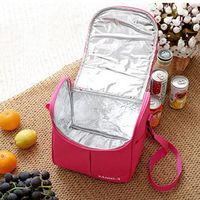 SaicleHome Canvas Lunch Bag Tote Bag Cooler Insulated Handbag Zipper Travel Outdoor Picnic Bag