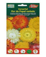 Euro Garden Helichrisum Duble Mix Euro Garden Helichrisum Duble Mix
