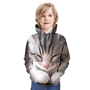 Kids Boys' Hoodie  Sweatshirt Long Sleeve Cat Graphic 3D Animal Print Gray Children Tops Active miniinthebox