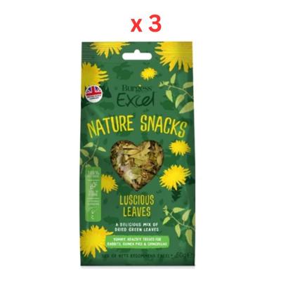 Burgess Excel Luscious Leaves Small Pet Treats 60G Pack Of 3