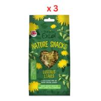 Burgess Excel Luscious Leaves Small Pet Treats 60G Pack Of 3