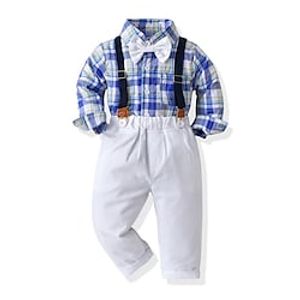 2 Pieces Kids Boys Shirt  Pants Clothing Set Outfit Floral Plaid Long Sleeve Cotton Set School Daily Casual Spring Summer 2-6 Years Green Light Blue Lightinthebox