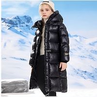 Kids Girls' Down Coat Solid Color Active Zipper School Coat Outerwear 4-13 Years Spring Black Lightinthebox - thumbnail