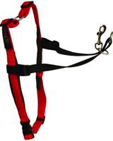 Company Of Animals Lh02 Harness Black-Red - Medium