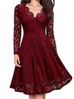 V-neck Lace Long Sleeve Dress