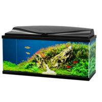 Ciano Aqua 80 Aquarium With LED Light 80X30X41.5Cm