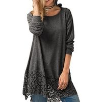 Women's Casual Dress Lace Dress T Shirt Dress Tee Dress Mini Dress Wine Gray Long Sleeve Pure Color Lace Winter Fall Autumn Hooded Winter Dress Fall Dress Loose Fit 2022 S M L XL Lightinthebox - thumbnail