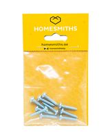 Homesmiths Self Tapping Screw Pan Head 1 inch X 10mm