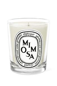 Mimosa Candle