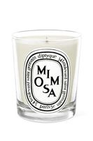 Mimosa Candle - thumbnail