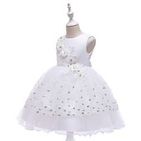 Princess Dress Party Costume Flower Girl Dress Girls' Movie Cosplay Christmas New Year's Golden White Pink Dress Christmas Halloween Children's Day Polyester / Cotton miniinthebox - thumbnail