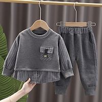 2 Pieces Kids Boys Sweatshirt  Pants Clothing Set Outfit Solid Color Long Sleeve Pocket Cotton Set Outdoor Fashion Cool Winter Fall 3-7 Years Gray Lightinthebox - thumbnail