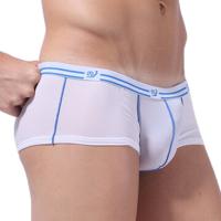 Ice Silk Thin Briefs - thumbnail