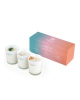 Prickly Pear Manifest Crystal Candle Trio