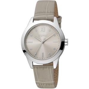 Esprit Silver Women Watch (ES-1042739)