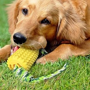 Dog Chew Toys for Aggressive Chewers Indestructible Tough Durable Squeaky Interactive Dog Toys Puppy Teeth Chew Corn Stick Toy for Small Meduium Large Breed Lightinthebox