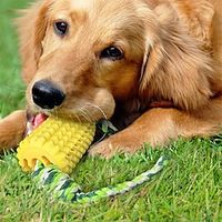 Dog Chew Toys for Aggressive Chewers Indestructible Tough Durable Squeaky Interactive Dog Toys Puppy Teeth Chew Corn Stick Toy for Small Meduium Large Breed Lightinthebox - thumbnail