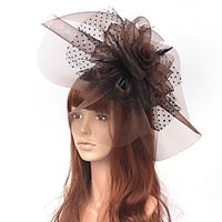 Elegant Retro Tulle Fascinators with Feather / Floral / Polka Dot 1 PC Special Occasion / Party / Evening Headpiece miniinthebox - thumbnail