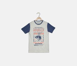 Kids Boys Graphic Americas Favorite T-Shirts  Oatmeal Heather
