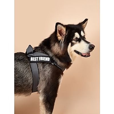 Dog Harness Dog Cat Harness Adjustable Soft Durable Escape Proof Safety Safety Sports Adjustable Running Solid Colored Polyester Small Dog Medium Dog Fuchsia 1PC Lightinthebox