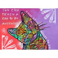 Drymate Cat Bowl Placemat Teach A Cat 12 x 20 inch/30 cm x 50 cm