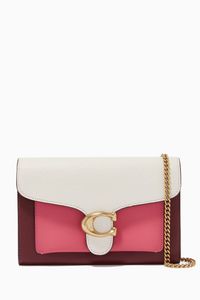 Tabby Chain Clutch in Colorblock Leather