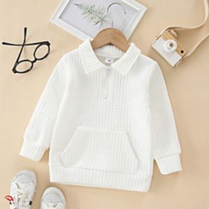 Kids Boys' Sweatshirt Long Sleeve White Black Gray Solid Color Indoor Outdoor Active Daily 3-6 Y Lightinthebox