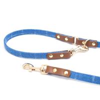 Pawsitiv Handmade Leash - Toby (1722)