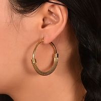 Women's Stud Earrings Drop Earrings Hoop Earrings Retro Drop Elegant Vintage Fashion Stylish Luxury Stainless Steel Earrings Jewelry Silver  Gold For Party Street Daily Holiday Festival 1 Pair Lightinthebox - thumbnail