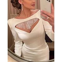 Sheath  Column Evening Gown Party Dress Formal Ankle Length Long Sleeve Scoop Neck Stretch Fabric with Tassel Slit 2023 Lightinthebox - thumbnail