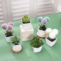 6pcs/set Evergreen Home Decoration Plants And Flowers Artificial Succulent Hairy Ball Small Potted Plants Suitable For Placing In Bedrooms Restaurants Tabletops Shelves Windowsills Offices miniinthebox
